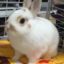 江川 明里のプロフィール画像