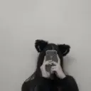 kobayashi mikiのプロフィール画像