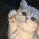 奥山 穂乃のプロフィール画像