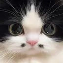 タ ナのプロフィール画像