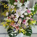 nail mami-ruのプロフィール画像