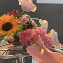張 賀のプロフィール画像