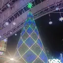 竹内 照美のプロフィール画像