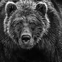 Granmash天神 田口翼のプロフィール画像