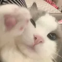 小坂 伊央のプロフィール画像