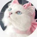 🫧salon Ré🫧のプロフィール画像