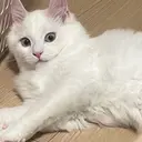 簑毛 涼のプロフィール画像