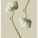 井上 典子のプロフィール画像