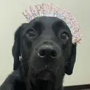 赤澤 奈々のプロフィール画像