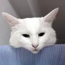 ネイリスト asamiのプロフィール画像