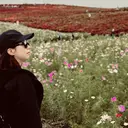 𓇼.⋆ 𓆉 ˖* shou shouのプロフィール画像