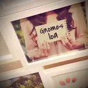 Gnomes loa   hasegawaのプロフィール画像