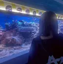 艶カラー🦄💙 ゆきなのプロフィール画像