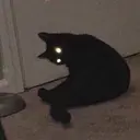 ハ クのプロフィール画像