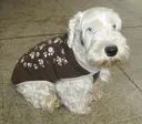 baby babyのプロフィール画像