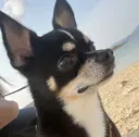 比嘉 陽菜のプロフィール画像
