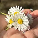 中村 愛のプロフィール画像