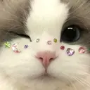 ‎🤍paris nail🖤のプロフィール画像