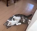 土田 和泉のプロフィール画像