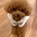 twin.久屋大通店 maoのプロフィール画像