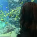 後藤 みさきのプロフィール画像