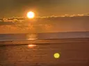 中島 悠翔のプロフィール画像