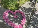 【LA PAIX】 yukaのプロフィール画像
