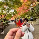 miharu🐱 大阪/茨木のプロフィール画像