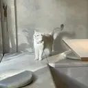 沼田 茉里那のプロフィール画像