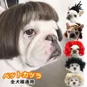 T Sのプロフィール画像