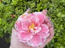 ビオトープ銀座 1級ﾈｲﾘｽﾄ 佐藤のプロフィール画像