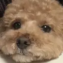 MADIA _hinaのプロフィール画像