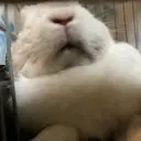 Bianca ヒガのプロフィール画像
