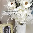 LAVISH K🍎のプロフィール画像