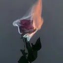 Bellezza chiharuのプロフィール画像