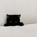 Li aile hikari 𖤐のプロフィール画像