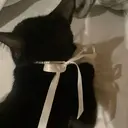 ♡ hibiki ♡のプロフィール画像