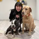 清水 香理のプロフィール画像