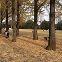 iconail AKARIのプロフィール画像