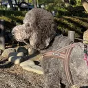 rill manaのプロフィール画像