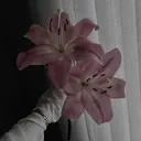 門倉 仁香のプロフィール画像