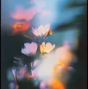 ミナミ 🦋のプロフィール画像