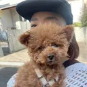 Takahashi Amiのプロフィール画像