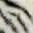 東仲 琉風のプロフィール画像