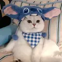 山田 和愛のプロフィール画像
