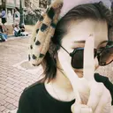 🐾ハイトーンブリー チ🐾ひなたのプロフィール画像