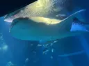 辻村 萌恵のプロフィール画像