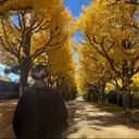 まるやま なつきのプロフィール画像