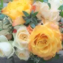 829 misaのプロフィール画像