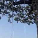 塩崎 聖奈のプロフィール画像